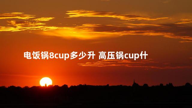 电饭锅8cup多少升 高压锅cup什么意思